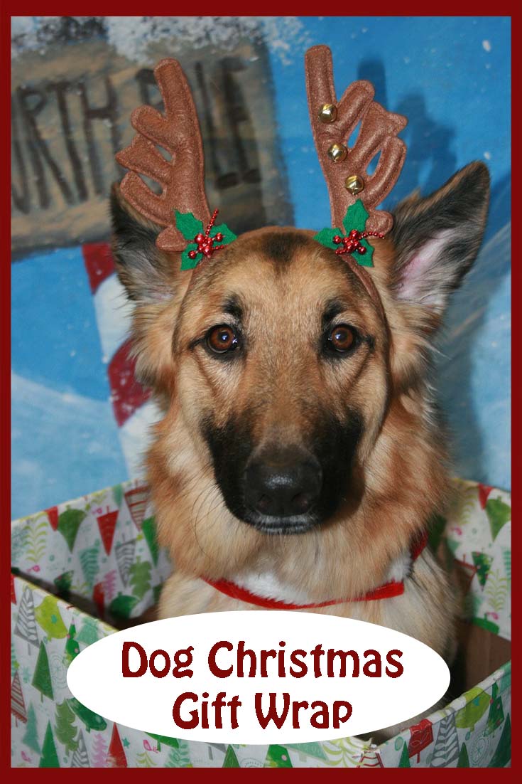 Gorgeous selection of dog Christmas gift wrap for the holiday season.
