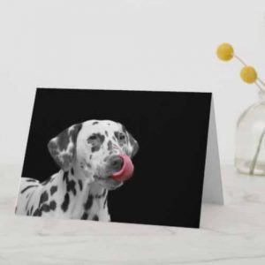 Dalmatian Greeting Card 